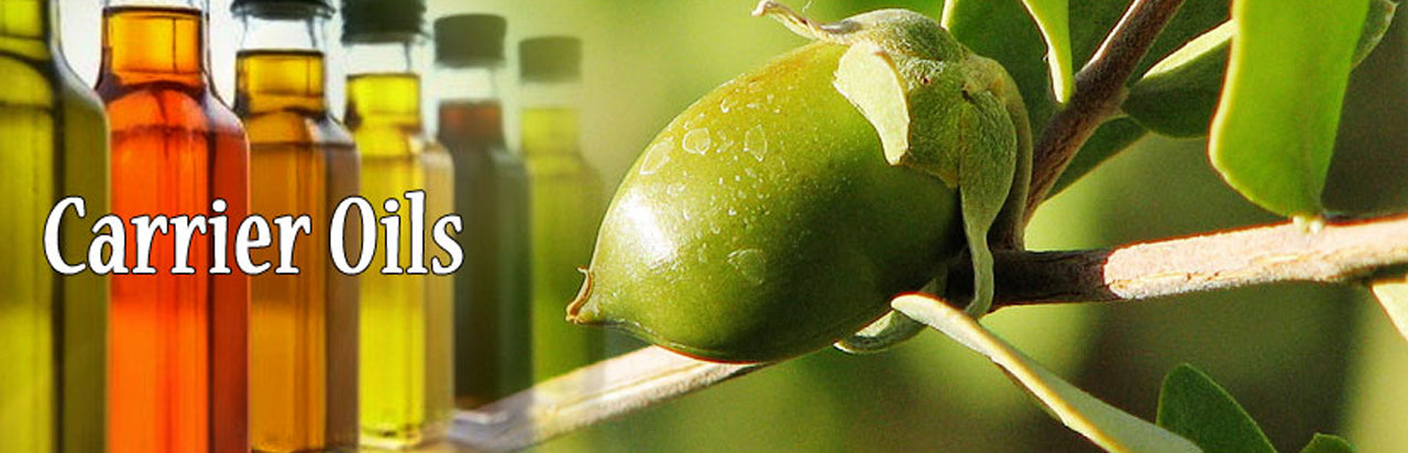 Buy Best Hemp Seed Oil Lowest Price Highest Quality for Carrier Oil