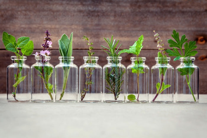 How to Make Essential Oils Via Steam Distillation And Cold Pressing