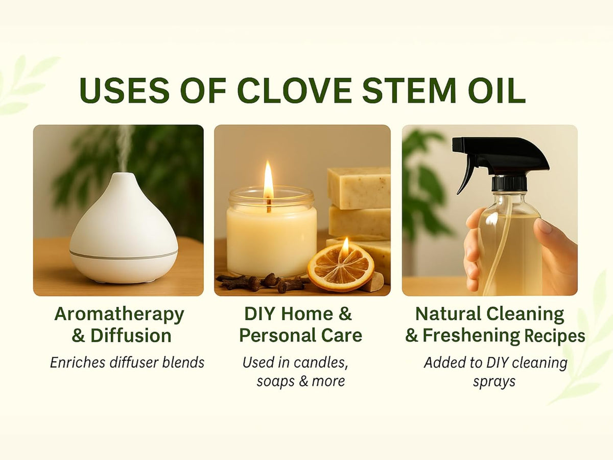 Organic Clove Stem Essential Oil Certified Organic Pure Clove Stem Essential Oil - Pure and Natural, 1oz Bottle