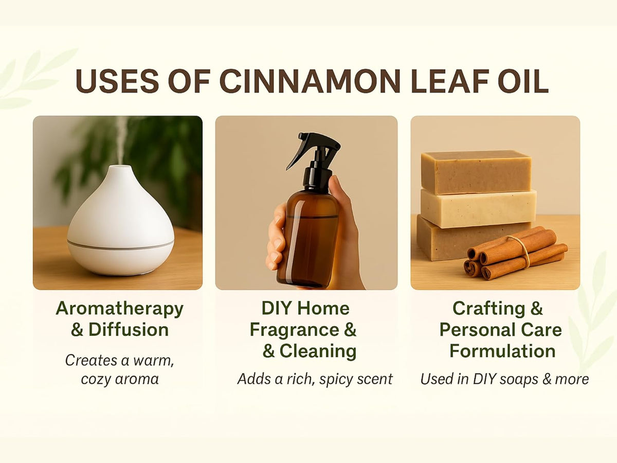 Mayan's Secret Certified Organic Pure Cinnamon Essential Oil - Pure and Natural, Large 1oz Bottle