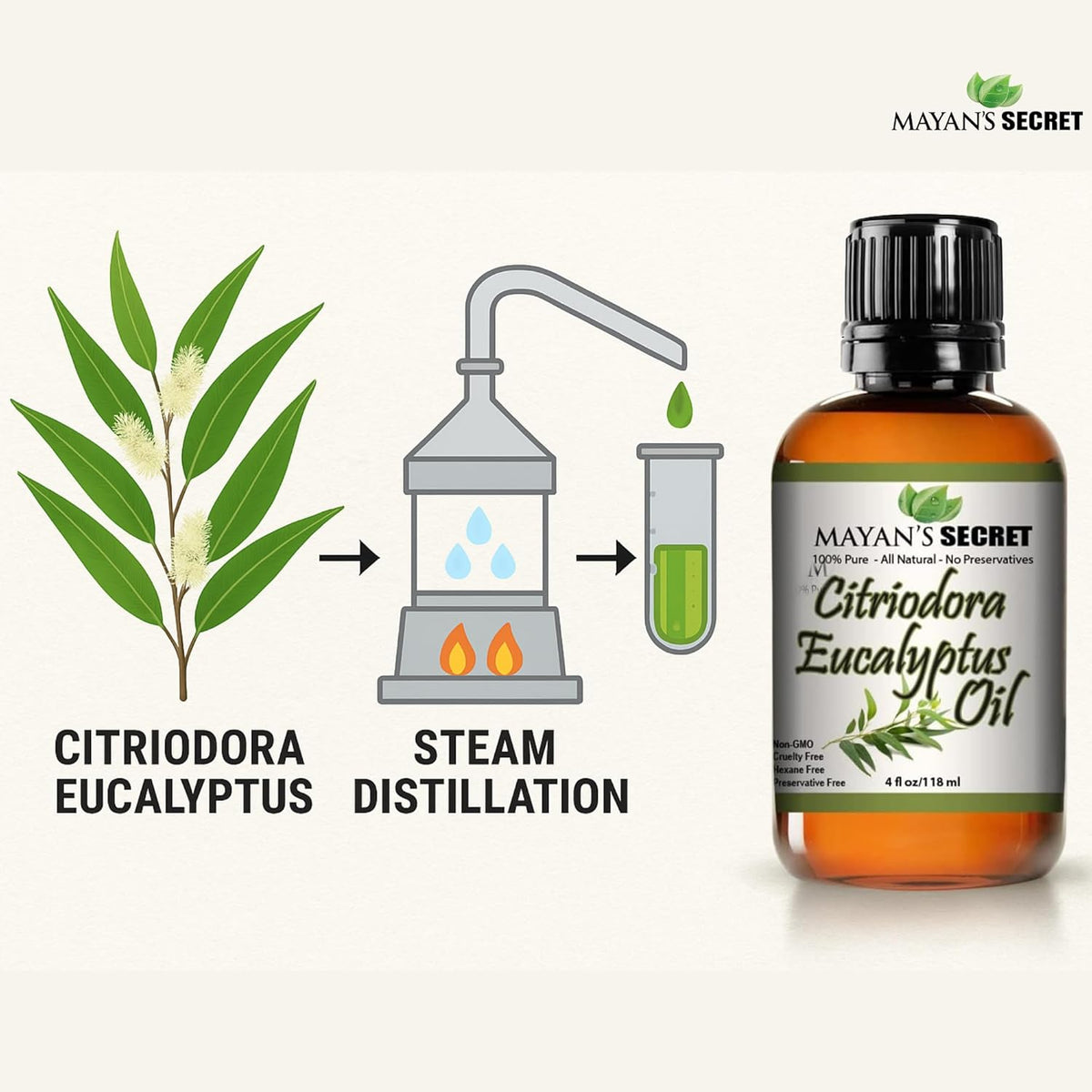 Mayan’s Secret Citriodora Eucalyptus Oil 100% Pure Steam Distilled Essential Oil for Skin Hair Scalp Aromatherapy and Diffuser Use 4 fl oz 118 ml Amber Glass Bottle with Dropper