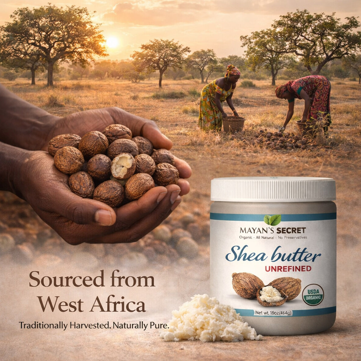 Organic Raw Shea Butter – Virgin Unrefined African Moisturizer for Dry Skin &amp; Natural Hair 16oz Large