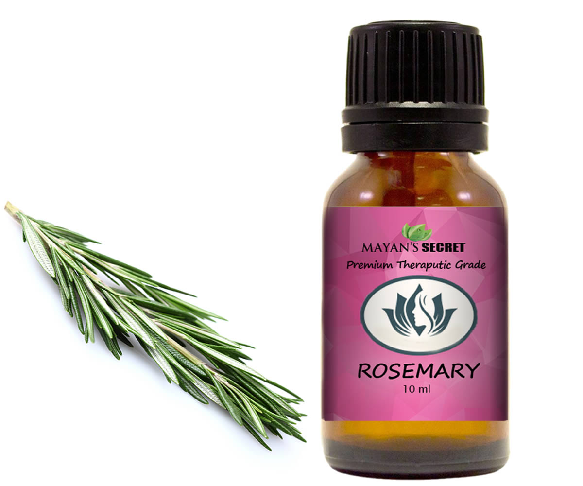Bulk Rosemary Extract 5% Oil - Wholesale