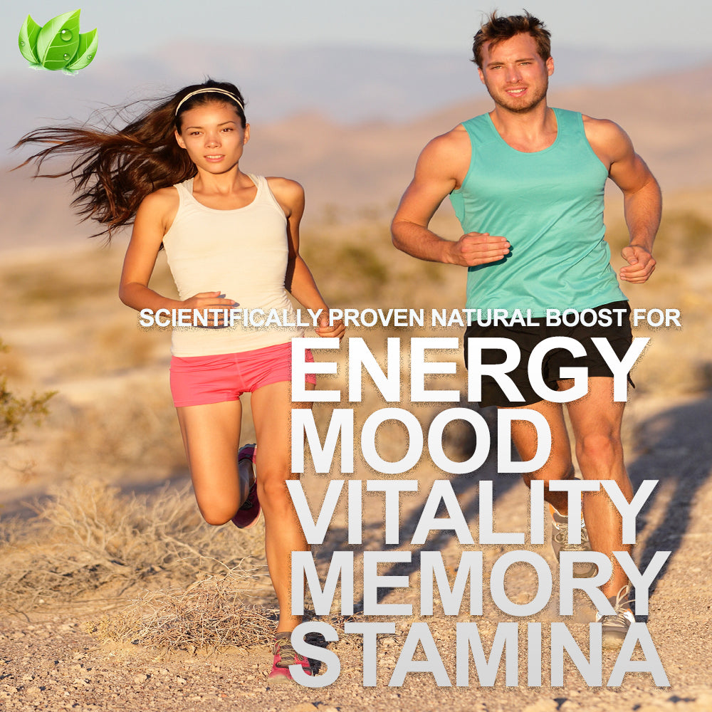 Organic Maca Powder Superfood