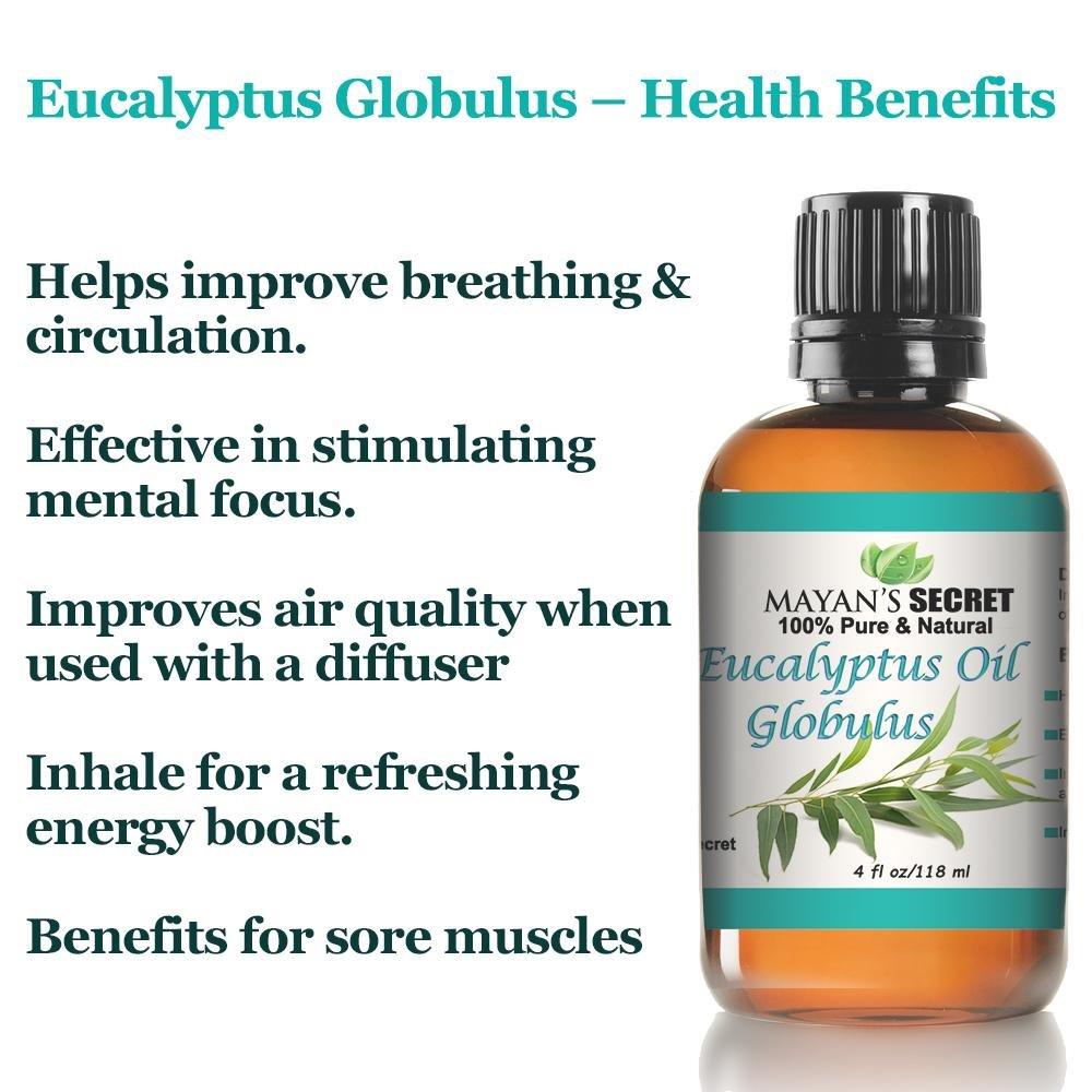 EUCALYPTUS OIL - GLOBULUS