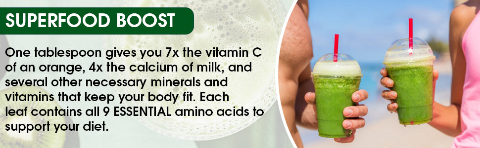 Organic Moringa Leaf Powder